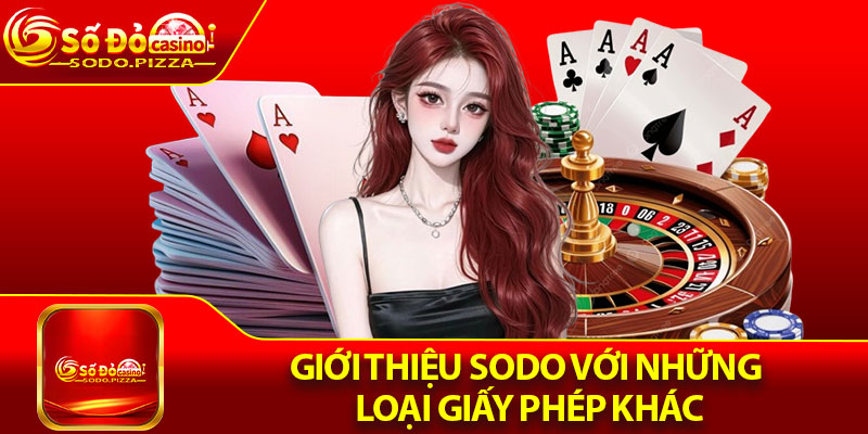 Giới thiệu Sodo với những loại giấy phép khác